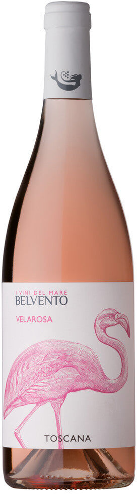 Velarosa' Belvento 2025