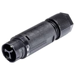 Wieland Electric 46.032.4554.1 Steckverbinder