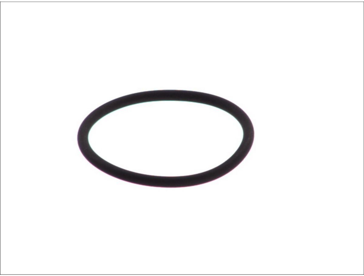 Gummi-O-Rings LEMA LE125105