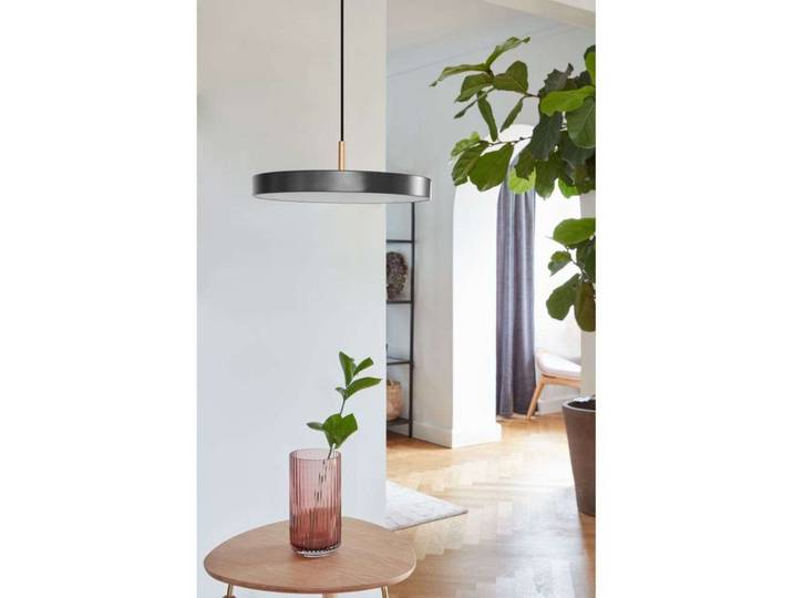 Suspension Asteria Plus, Ø 30 cm, gris/bronze - UMAGE - Salon / séjour - Métal