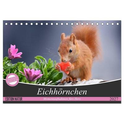 Eichhörnchen Momentaufnahmen fürs Herz (Tischkalender 2027 DIN A5 quer), CALVENDO Monatskalender