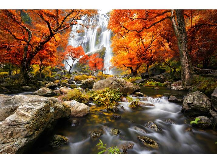 Fototapete PAPERMOON WASSERFALL-HERBST BÄUME WALD NATUR LANDSCHAFT DSCHUNGEL , bunt, B:3,5m L:2,6m, Vlies, Tapeten, Fototapete