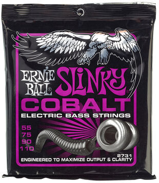 Ernie Ball 2731