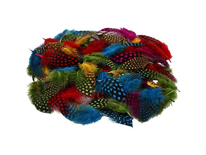 Guinee gevogelte veren, asstd kleuren, 50 g
