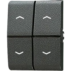 Jung Wippe Symbole/Lichtleiter 805 MP 805MP