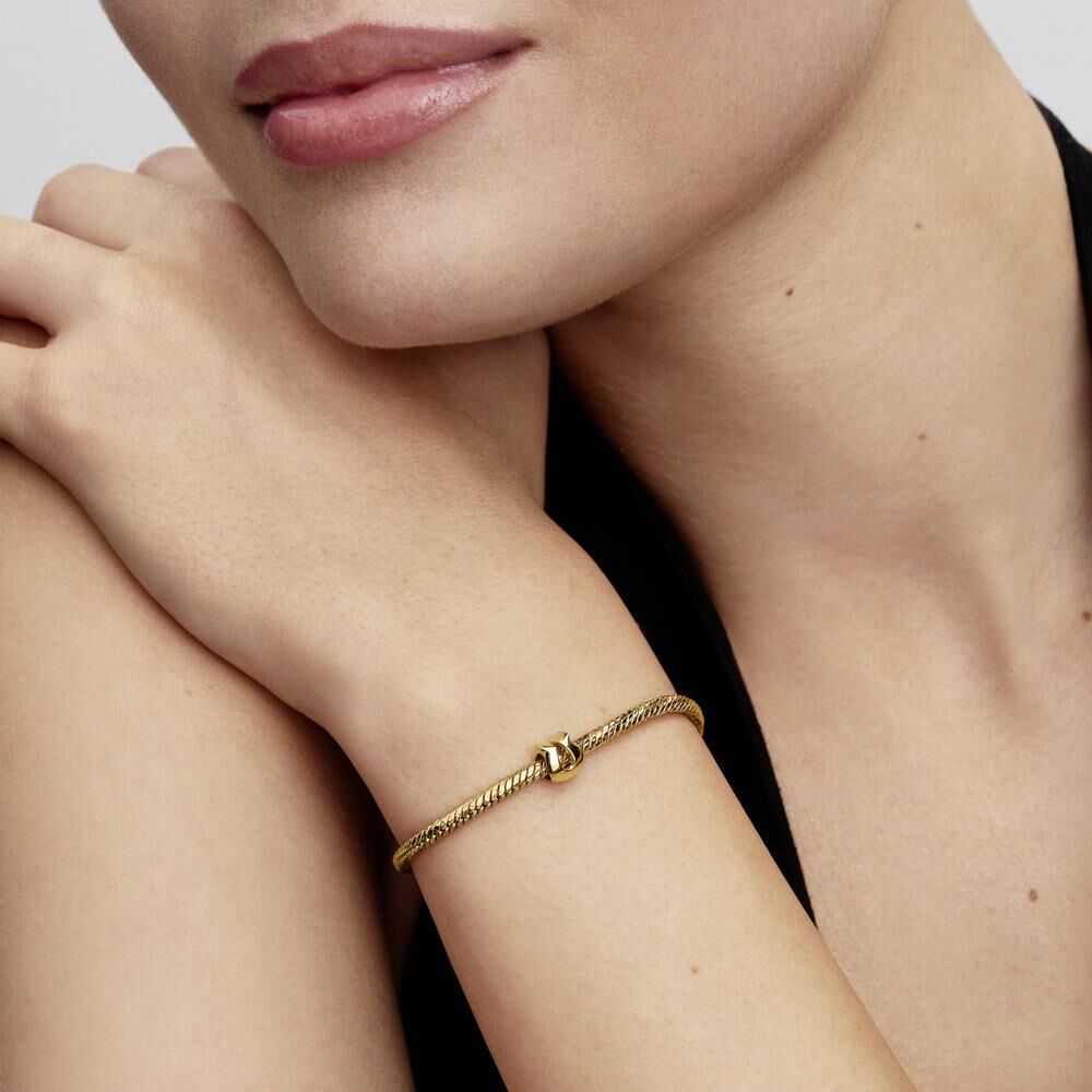 Pandora Moments Mini-Slide-Charm Hufeisen, IP Gold gold