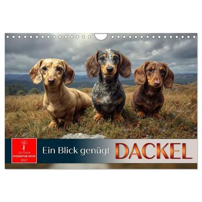 Dackel - ein Blick genügt (Wandkalender 2027 DIN A4 quer), CALVENDO Monatskalender