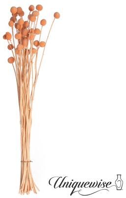 Uniquewise Preserved Real Floral Stems Chic Vase Fillers & Accents for Bouquets Centerpieces & Ornamental Displays