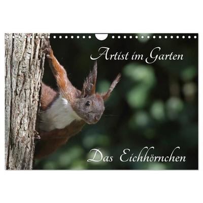Artist im Garten. Das Eichhörnchen (Wandkalender 2027 DIN A4 quer), CALVENDO Monatskalender