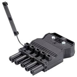 Wieland Electric 92.953.7053.1 Steckverbinder