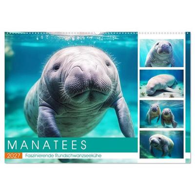 Manatees. Faszinierende Rundschwanzseekühe (Wandkalender 2027 DIN A2 quer), CALVENDO Monatskalender