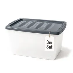 BigDean 3x 60 L Aufbewahrungsbox mit Deckel groß Budget Line Plastikbox mit Deckel