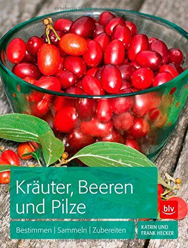 Frank Hecker - Kräuter, Beeren und Pilze: Bestimmen Sammeln Zubereiten - Preis vom 11.10.2026 03:10:56 h