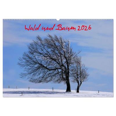 Wald und Baum 2026 (Wandkalender 2026 DIN A2 quer), CALVENDO Monatskalender