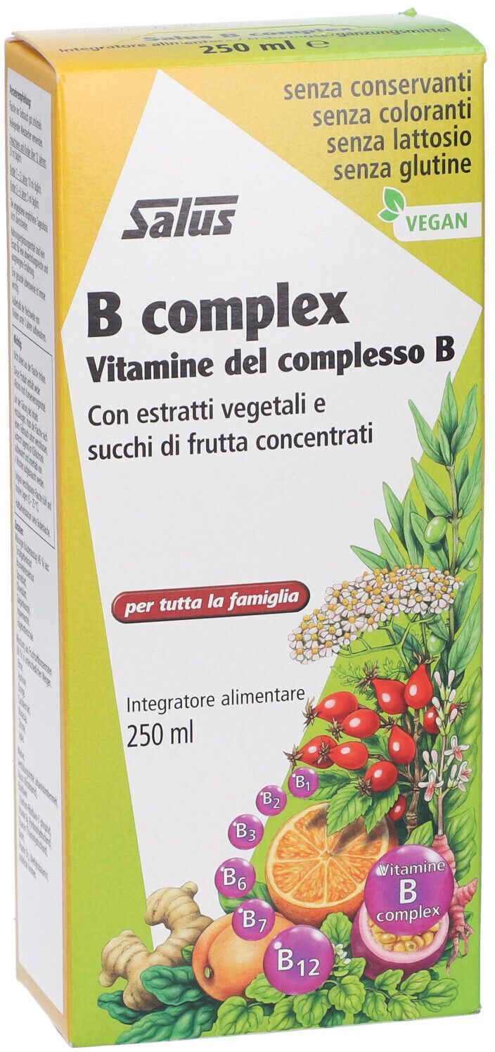 SALUS HAUS Gmbh & Co KG Salus B Complex, 250 ml, Integratore di Vitamine B, Energia, Immunità, Fatica