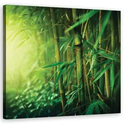 WANDBILD dschungel bambus pflanzen
