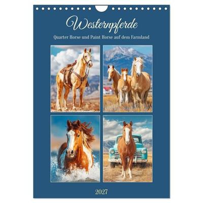 Westernpferde. Quarter Horse und Paint Horse auf dem Farmland (Wandkalender 2027 DIN A4 hoch), CALVENDO Monatskalender