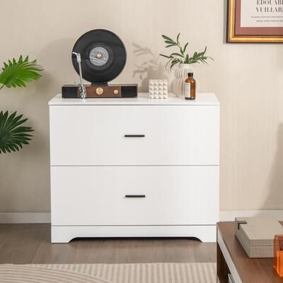 Lirago 2-Drawer Lateral File Cabinet with Adjustable Hanging Bars for Home and Office