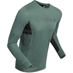 Daehlie, Herren, Funktionsshirt, M Training Tech Long Sleeve (L, M, S, XL, XXL), Grün