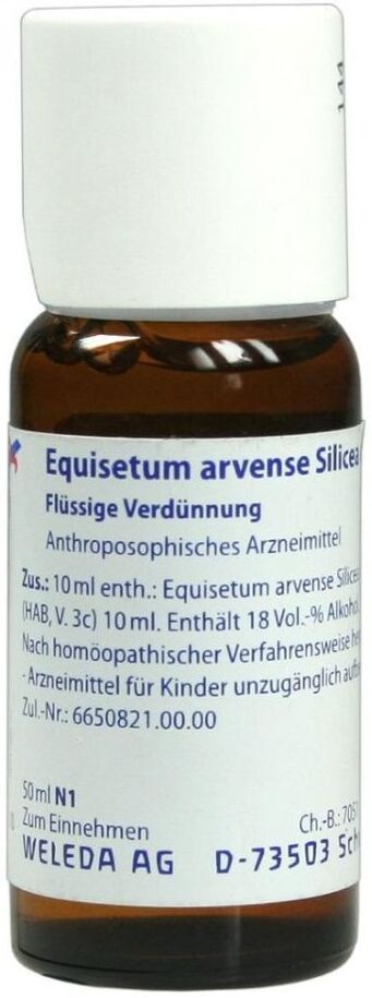 Equisetum Arvense Silicea cultum D2 Dilution