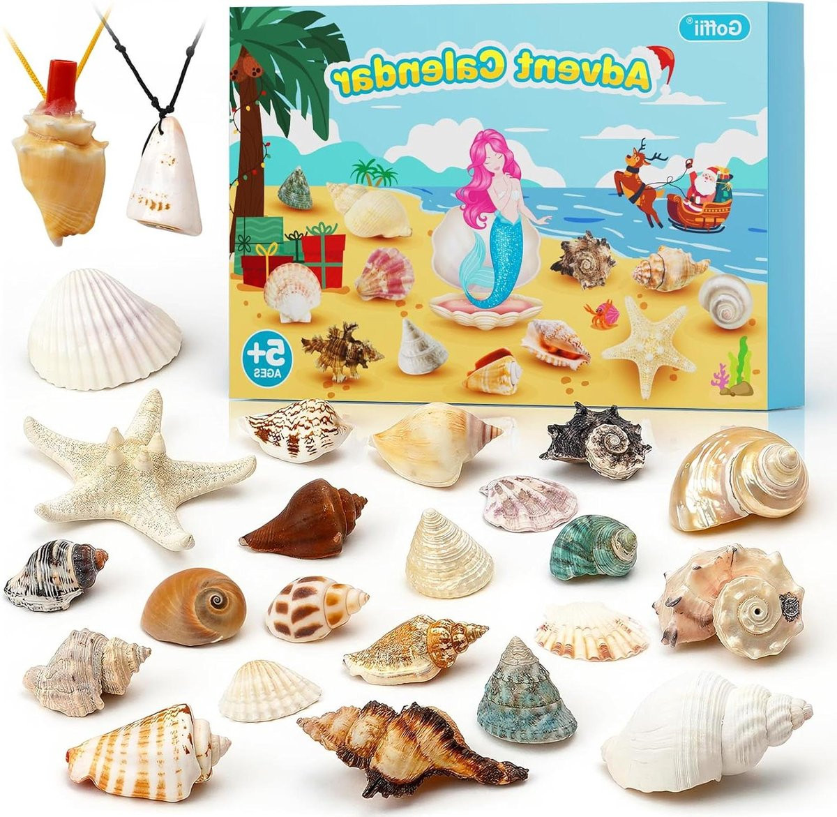Adventskalender voor kinderen met 24 natuurlijke schelpen - Multicolor