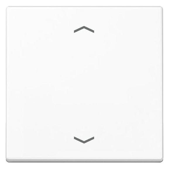 JUNG Wippe 2t Jalousie A aws glz Pfeile A101PBFWW (A101PBFWW)