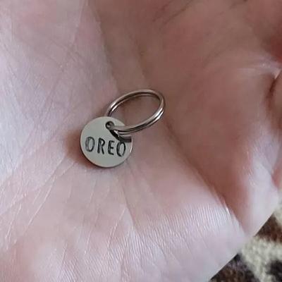 Uplift Picks Personalized Mini Pet ID Tag For Cats Puppies And Anti Lost Collar Safety silver