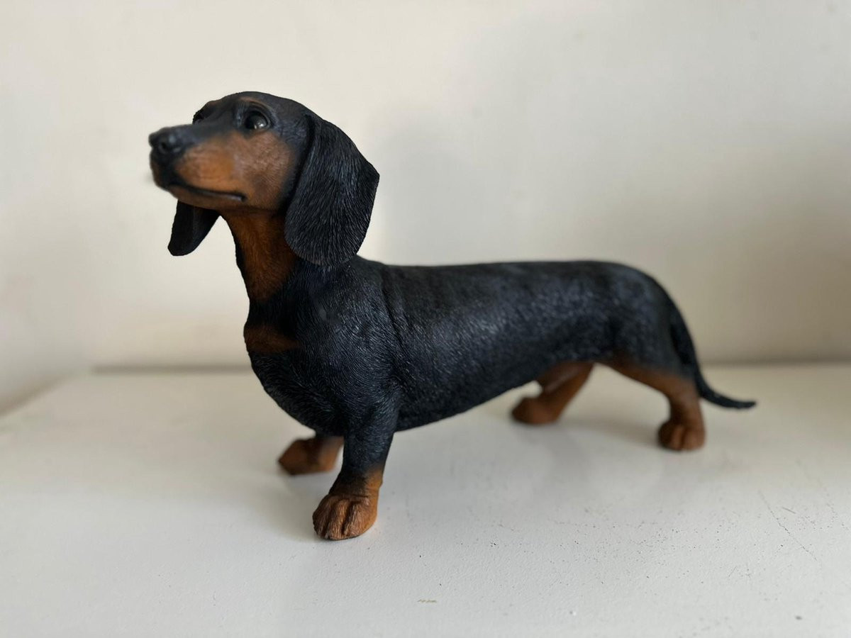 Goodyz Huisdier Teckel Standbeeld Zwart Hoogte: 20 cm