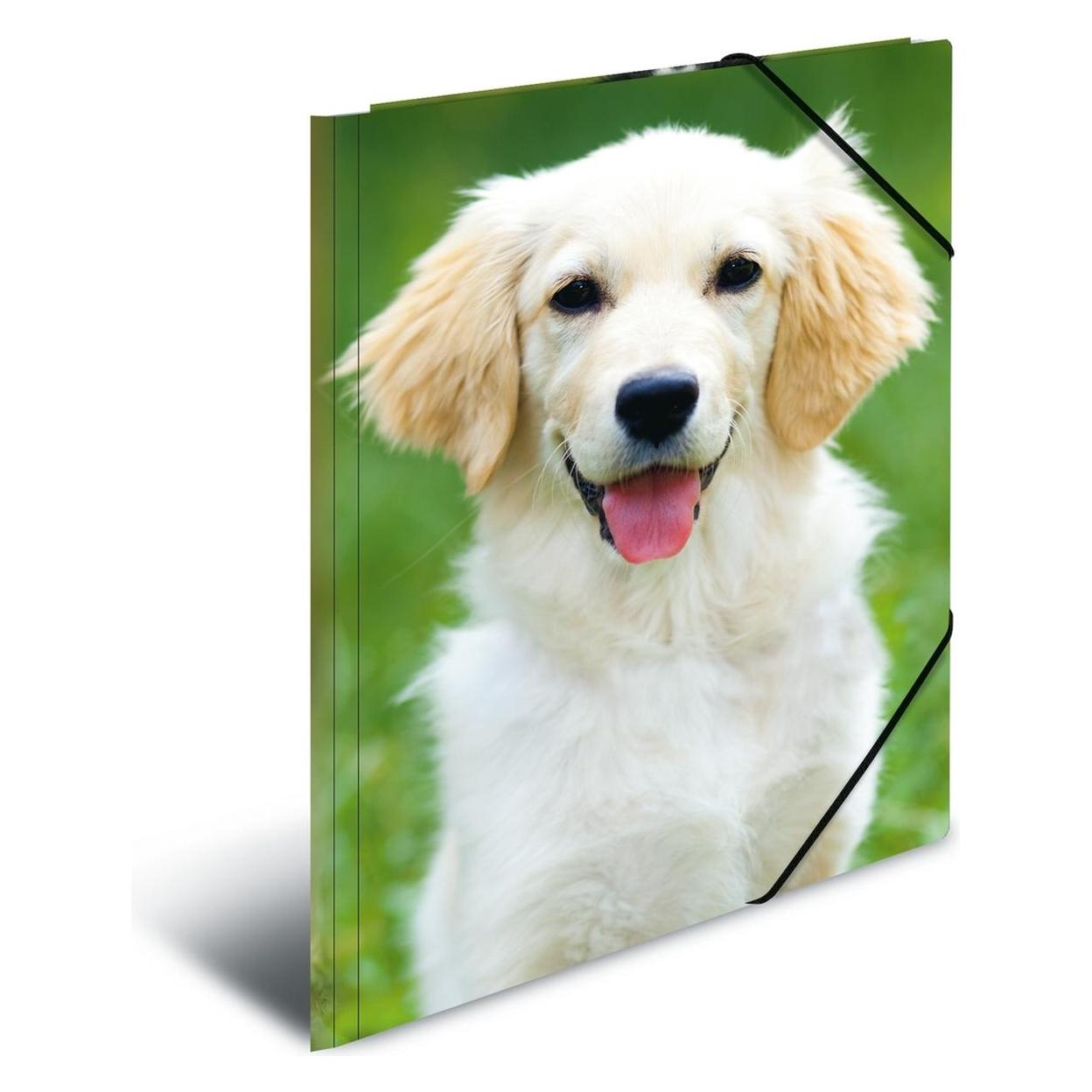 Herma 3 Sammelmappen DIN A4 Hunde (A4, 3x) (7139)