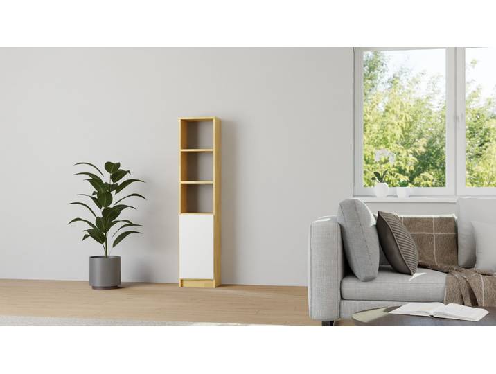 Schlichter CD Schrank nach Maß Buche Natur geölt