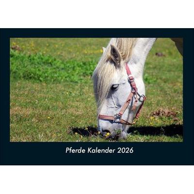 Pferde Kalender 2026 Fotokalender DIN A4