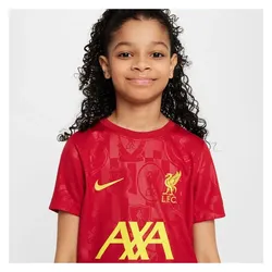 Nike, Jungen, Sportshirt, Liverpool Academy Pro Top (140, 146), Rot