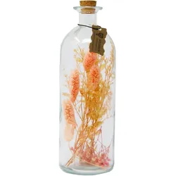 Goldbach Trockenblumen in Flasche mit Korkverschluss Apricot 27 x Ø 9 cm