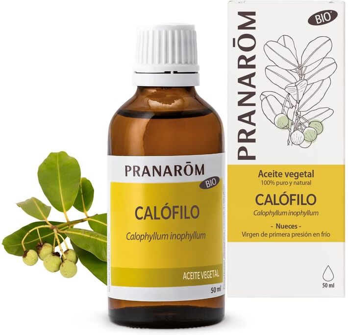Pranarom Aceite Vegetal Calófilo Bio 50ml