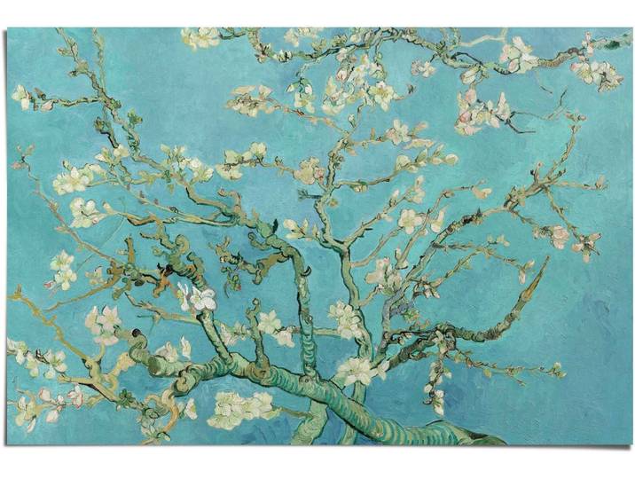 Poster REINDERS Poster Mandelblüte Vincent van Gogh , blau (farbe bild(er): blau), B:91,5cm H:61cm, Papier, Bilder, Poster
