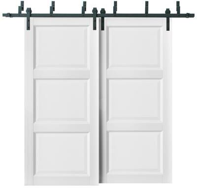SARTODOORS Lucia 2661 White Wood Barn Bypass Doors