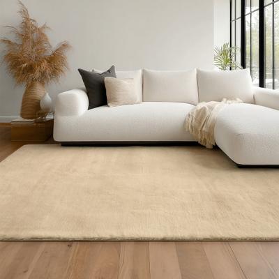 ECARPETGALLERY Argo Plush Shag Machine Washable Area Rug with Non-Slip Backing