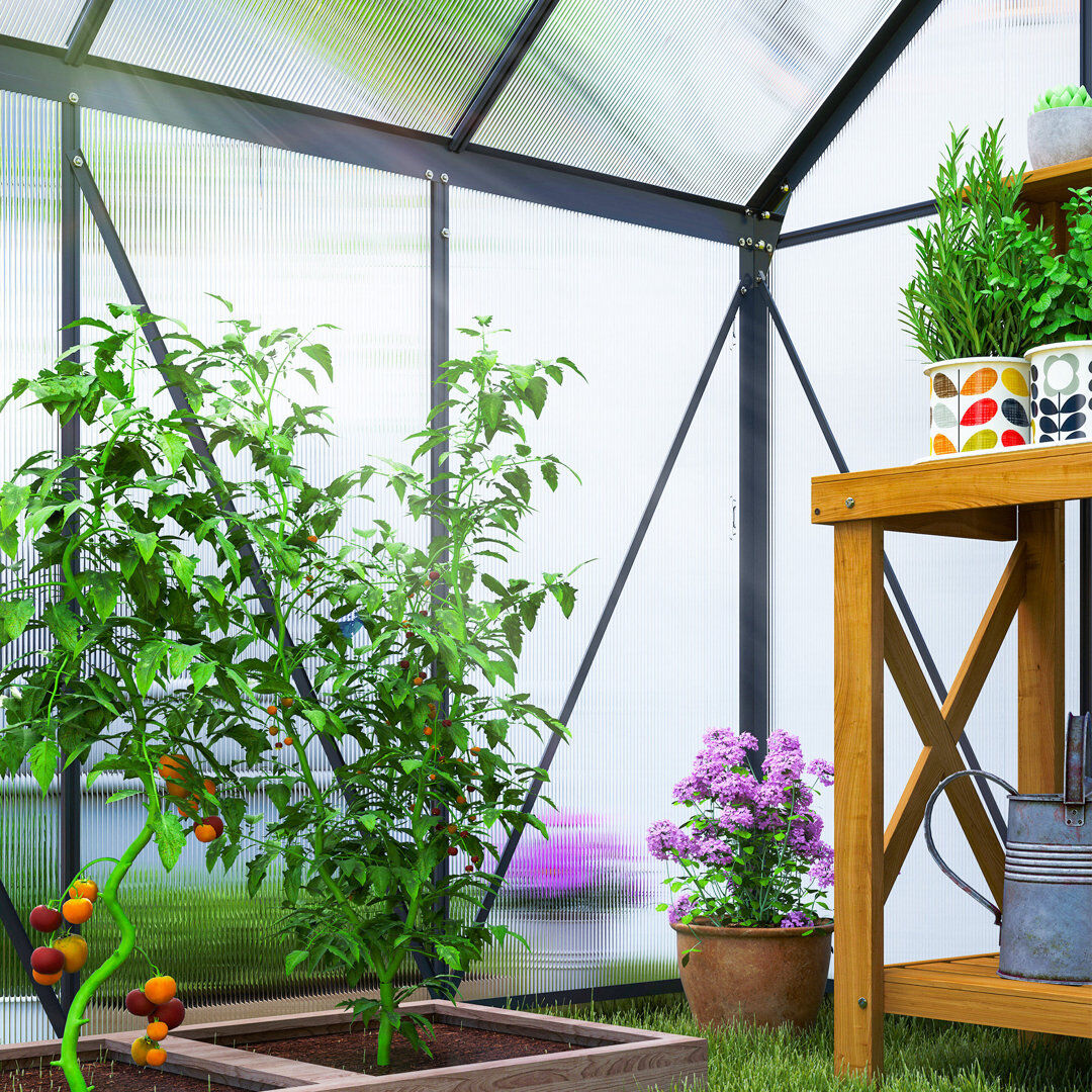 Latitude Run Outsunny Polycarbonate Greenhouse Walk-In Sliding Door Grey 200cm H x 190cm W x 190cm D
