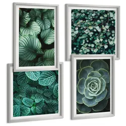 BILDER SET 4er Set - 50x50 cm & 40x60 cm Silberner Rahmen - Grüne Blätter von eleganten Sukkulenten