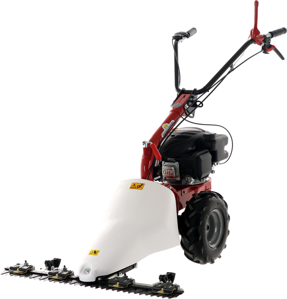 Eurosystems M210  Motormäher mit Doppelmessern  Loncin LC1P65FE