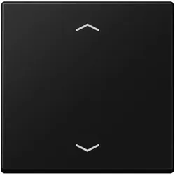 Jung Steuertaste Standard A 1700 BFP SWM