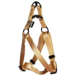 Martin Instap Tuig Nylon Beige (50, Hund, Spazieren), Halsband + Leine