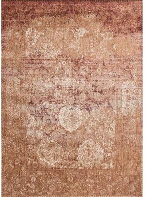 Alexander Home Contessa Traditional Copper Medallion Distressed Rug