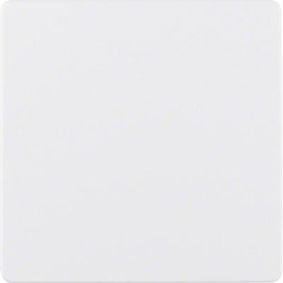 Berker Zentralplatte pws 75940489