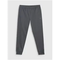 4F, Herren, Sporthose, Men's quick-drying training pants 4FWMM00TFTRM1067-22M (M)