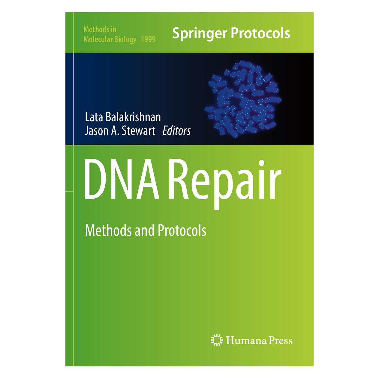 Springer DNA Repair (Englisch, Softcover, Jason A. Stewart, Lata Balakrishnan) (56152994)