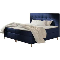 BOXBETT Avanti - H3