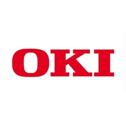 OKI Druckserver für OKI C650DN, C650(Wireless)(45830222)