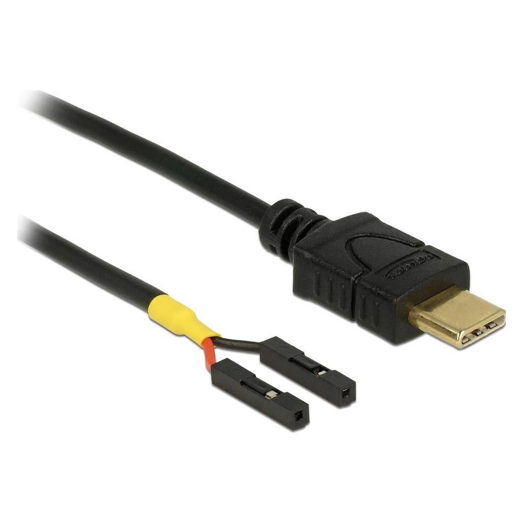 Delock USB Stromkabel USB-C zu 2x Postenbuchse (0.30 m, USB 2.0) (85396)