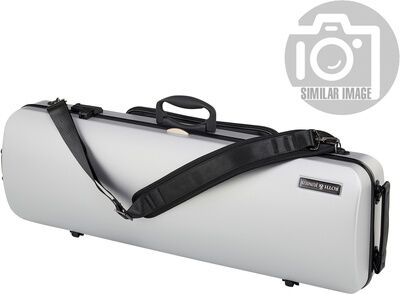 Roth & Junius PolyCarb Violin Case SAP-SI
